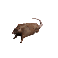 Fala